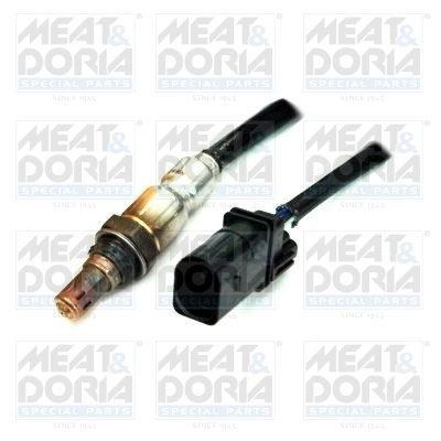 Oxygen Sensor